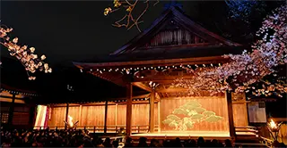 夜桜能　仕舞「船橋」シテ